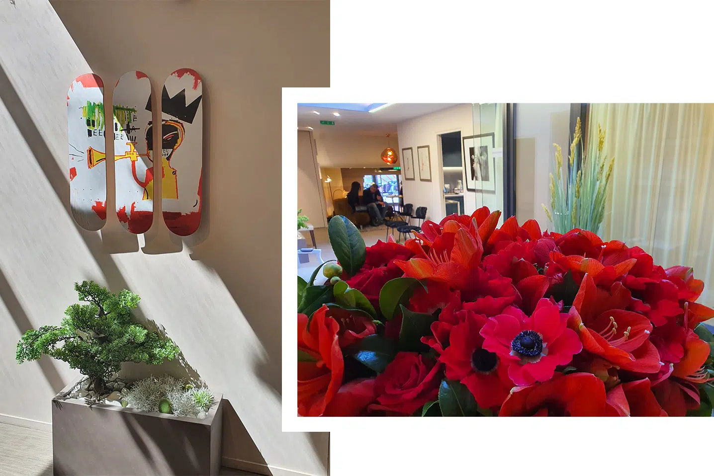 Decoration avec des pots de fleurs poser dans les couloir de l'institut du sein a paris 8